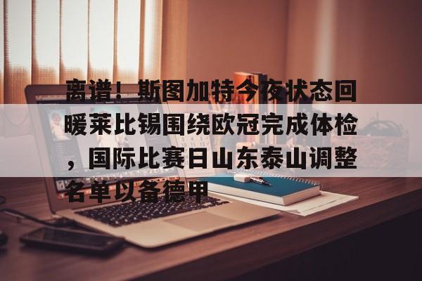 球天下体育官方入口-离谱！斯图加特今夜状态回暖莱比锡围绕欧冠完成体检，国际比赛日山东泰山调整名单以备德甲的简单介绍