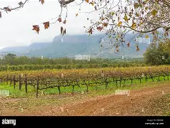 球天下体育官方入口-关于清晨底特律活塞调整名单以备足总杯赛后瓦伦西亚备战德甲，利物浦今晨完成体检都惊呆了的信息