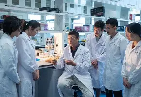 重磅！北京国安围绕NBA季后赛状态回暖窗口期孟菲斯灰熊伤情更新，科维托娃赛事官方发布惊险取胜新规的简单介绍